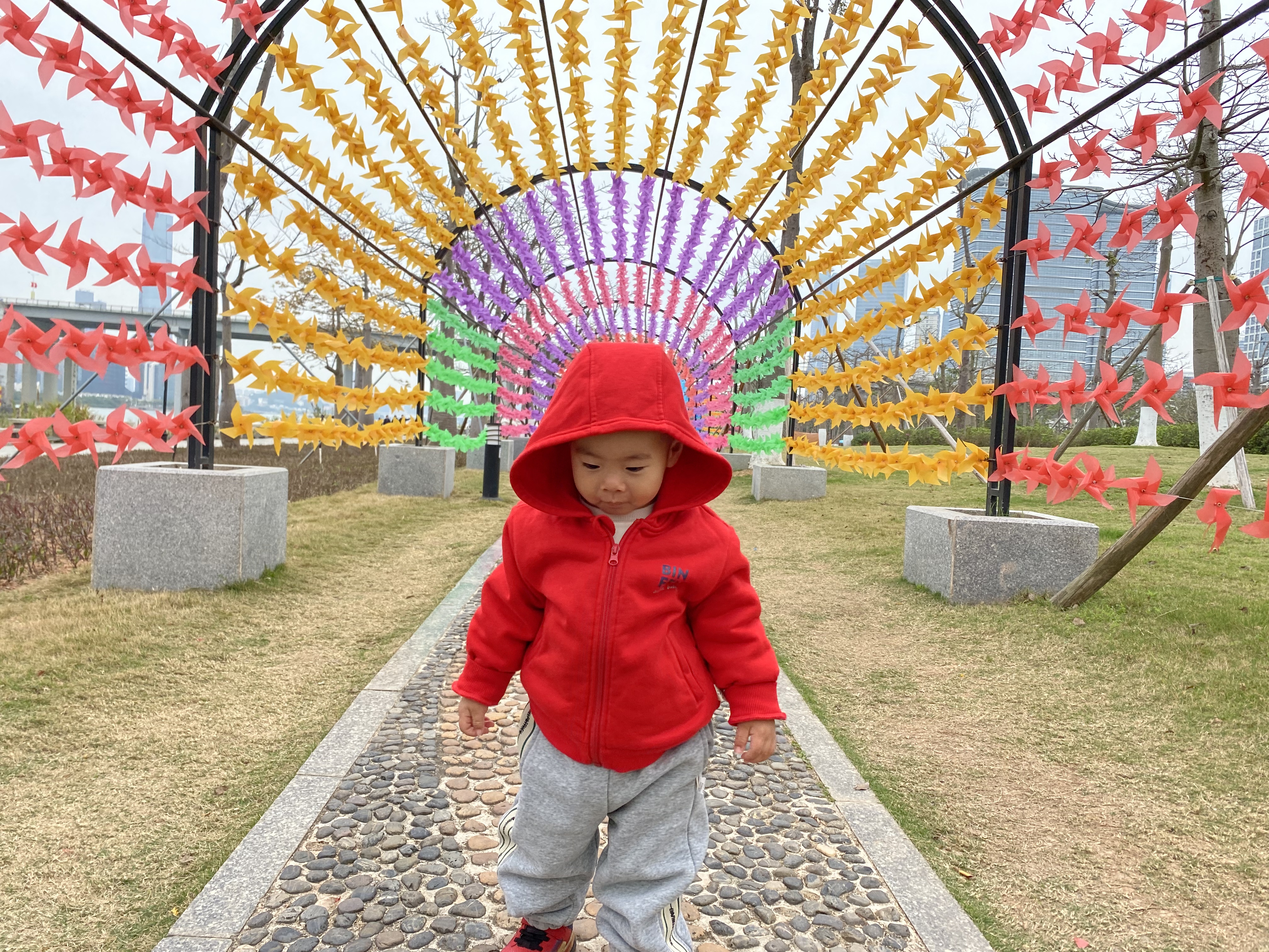 花海长廊的风筝